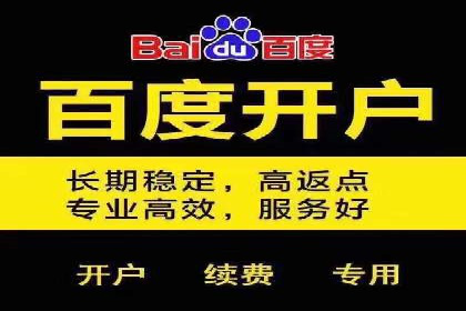 sem推广竞价策略的五大要点及成功案例解读