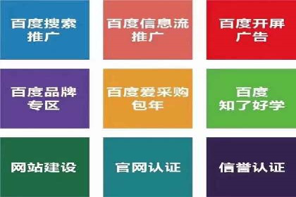 SEM代运营案例：助力企业实现线上转型